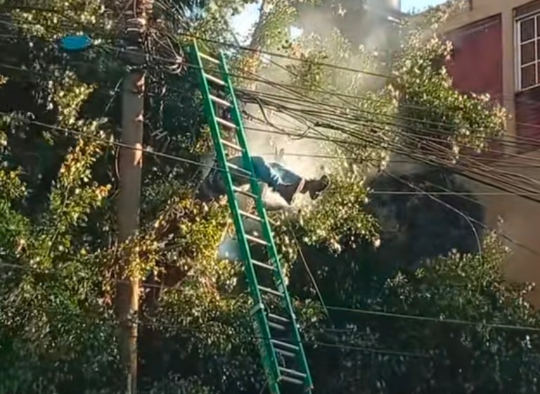 Screenshot_20260206_071256_TikTok