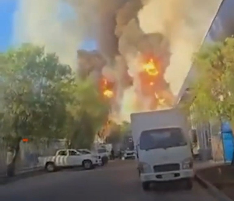 Screenshot_20260219_155137_Gallery