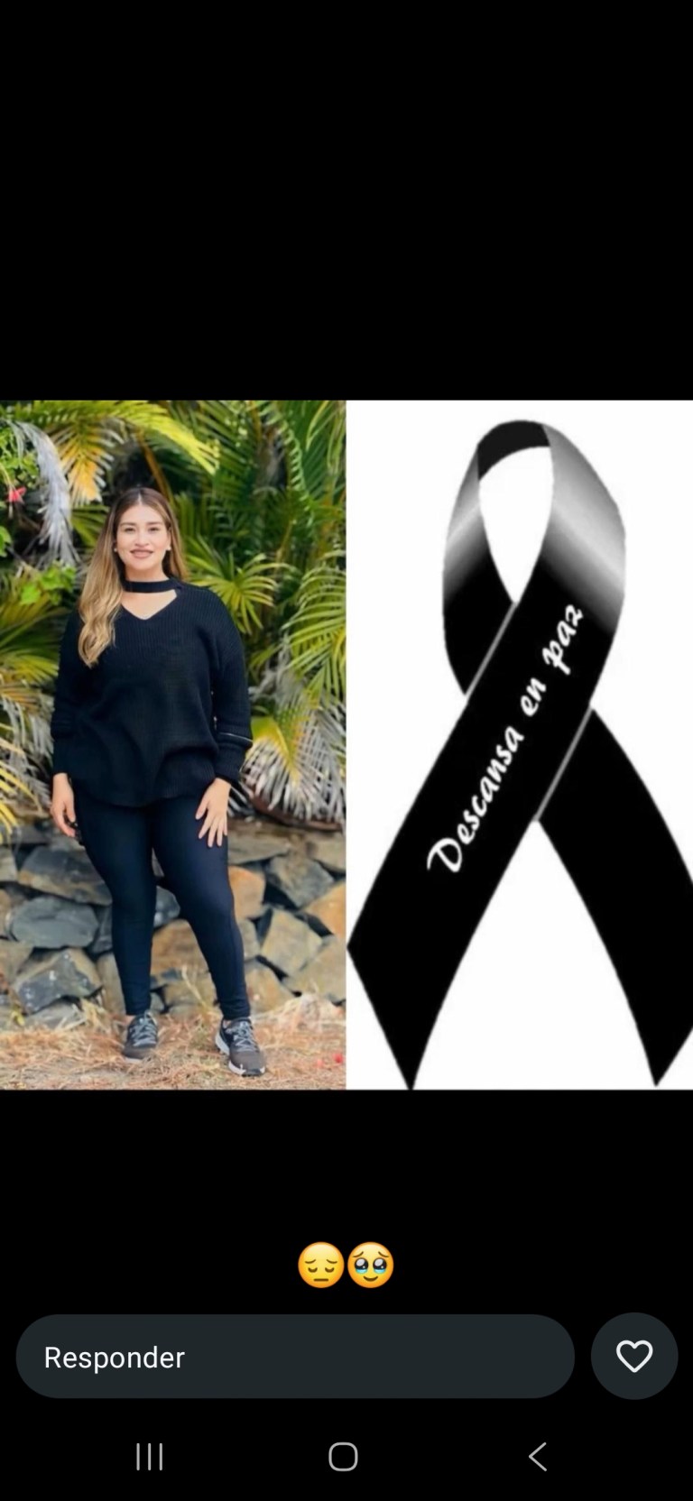 Screenshot_20260403_235300_WhatsApp