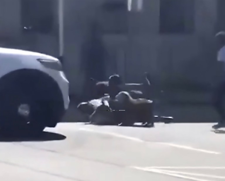 Screenshot_20260428_130517_Gallery