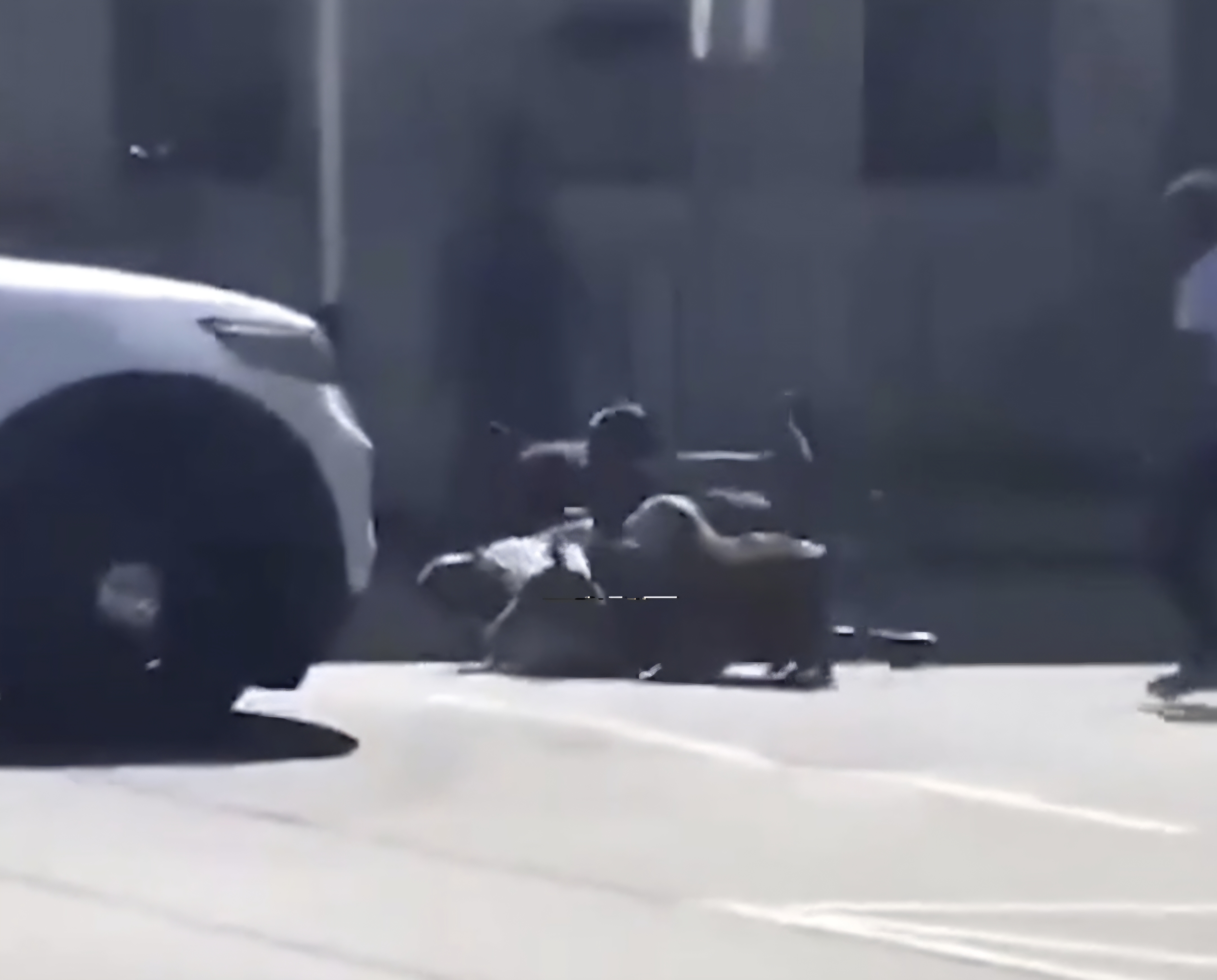 Screenshot_20260428_130517_Gallery