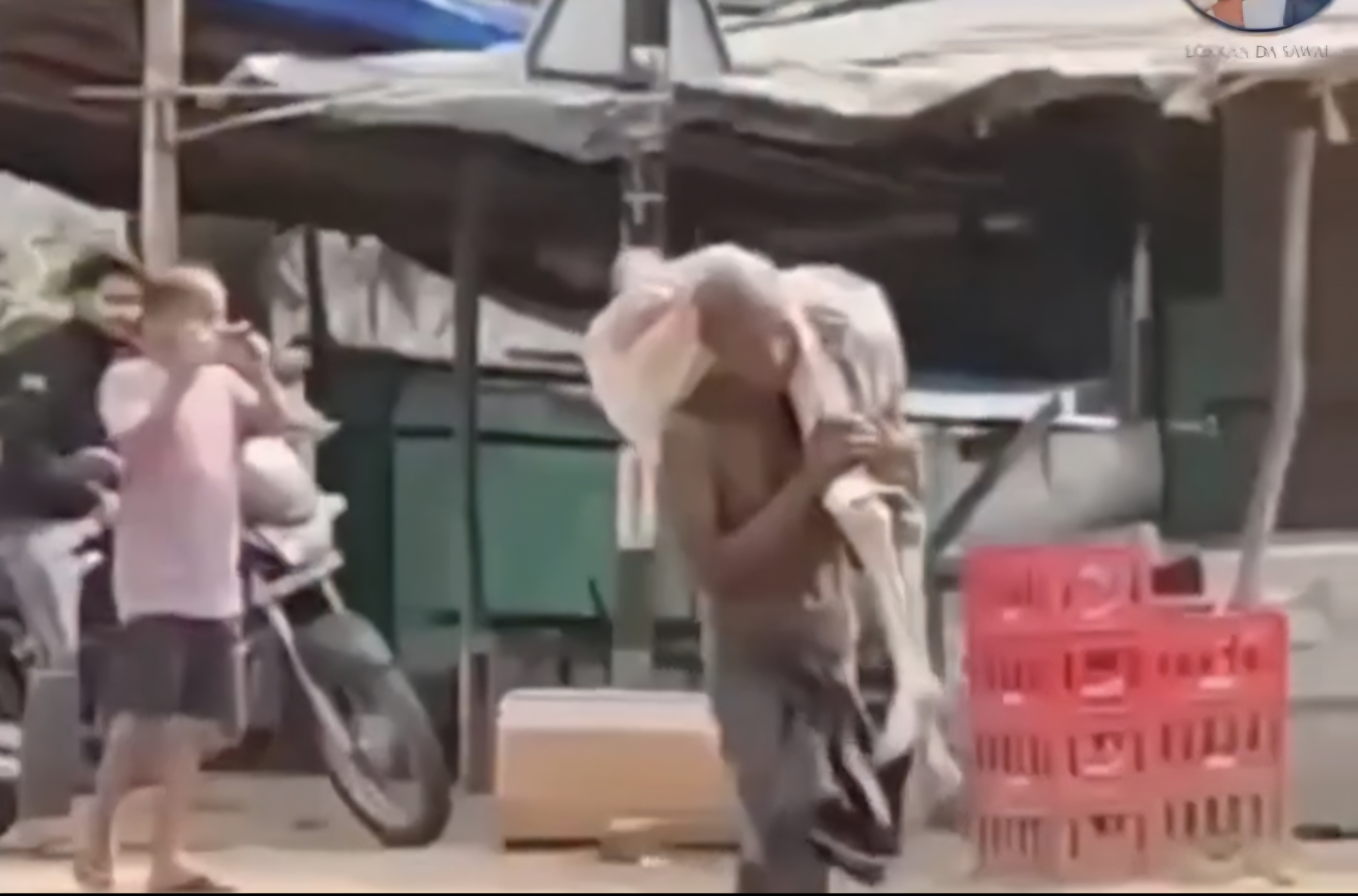 Screenshot_20260429_222311_Gallery